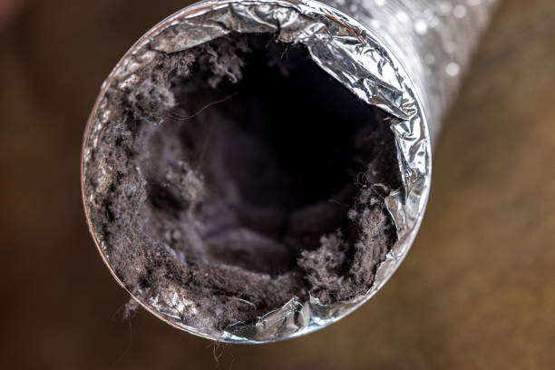 Best Commercial Air Duct Cleaning  in Borger, TX