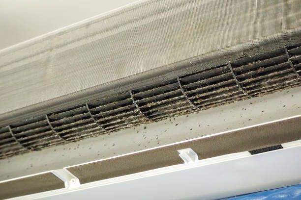Best HVAC Air Duct Cleaning  in Borger, TX